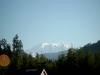 Mount Rainier. Dieser Aussichtspunkt ist inzwischen zugewachsen.